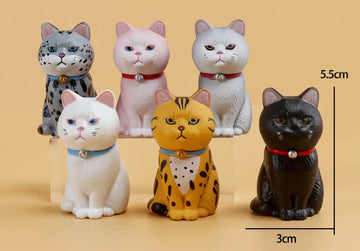 Set of 6 Cat Costumes