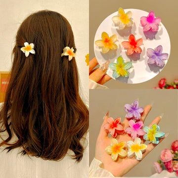 Hawaiian Flower Hair Clip (Set of 6)