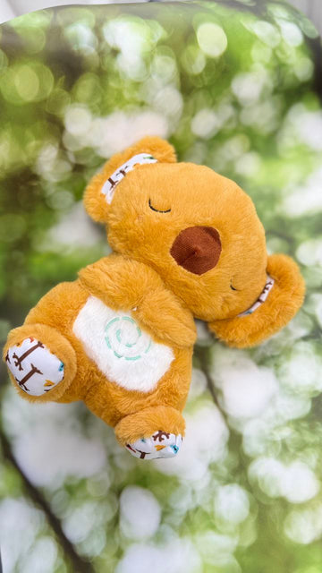 Breathable plush toy for a sweet sleep — Koala