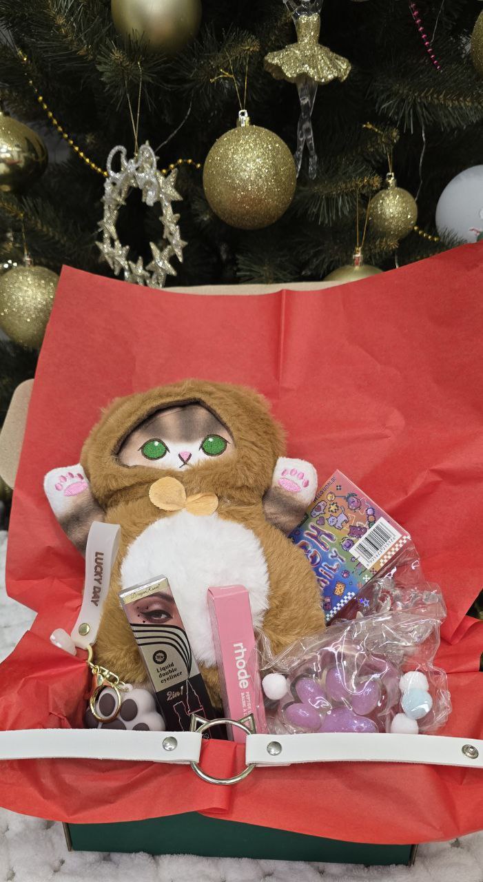 Gift Set with a Little Cat