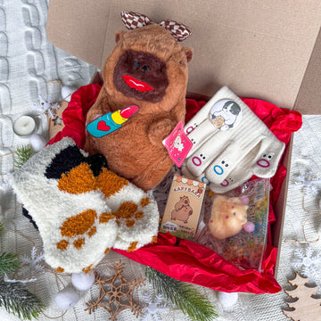 Capybara Gift Set