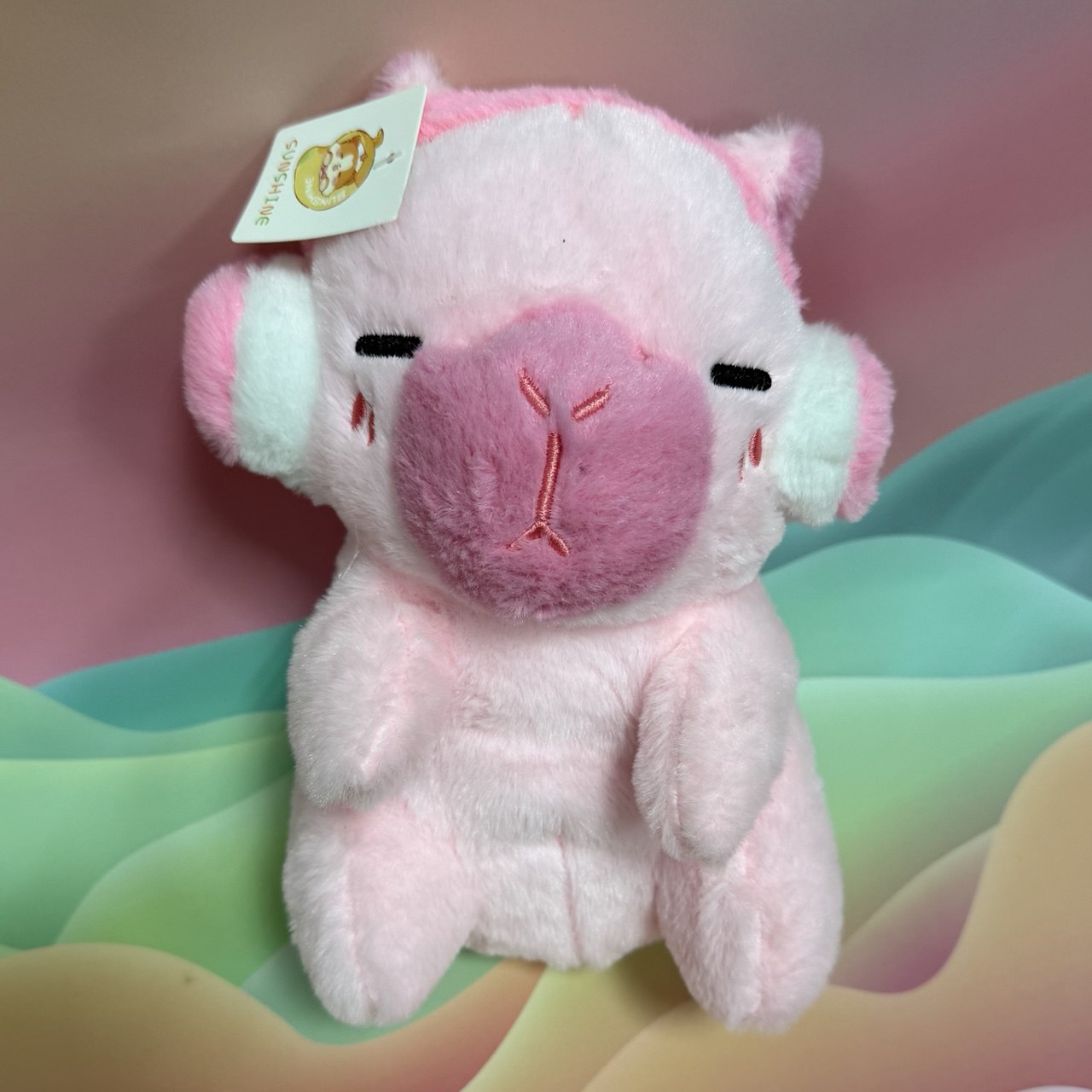 Pink Capybara Plush Toy with Headphones