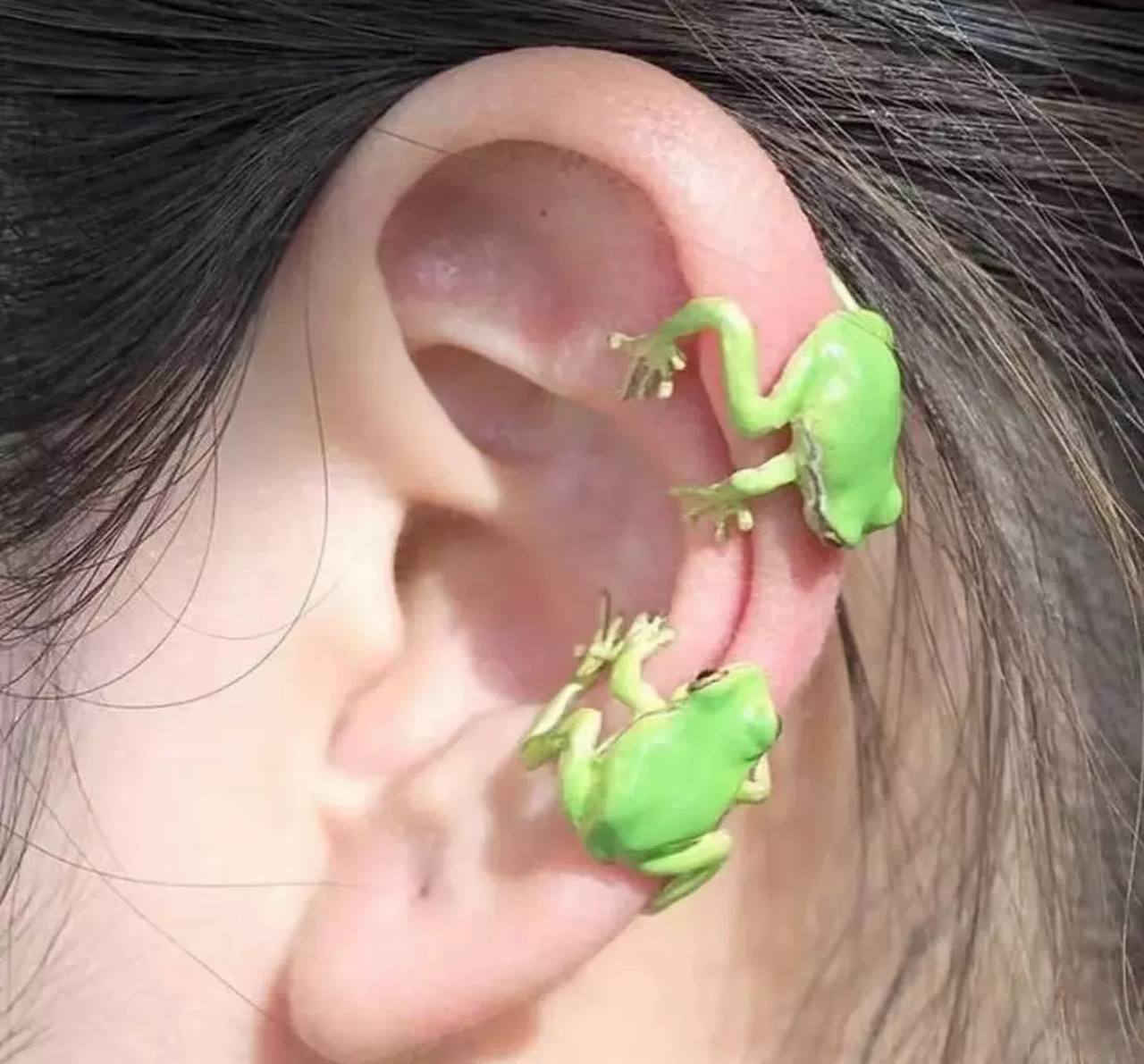 Kafa Frog