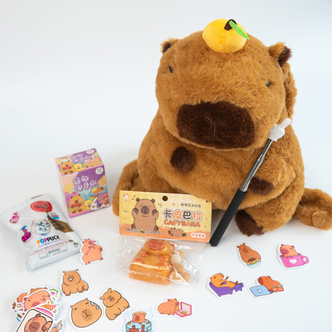 Capybara Gift Set (backpack, stickers, squish, pointer, fidget)